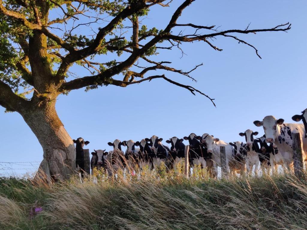La Ferme Oubliee Villa Paliseul Luaran gambar